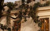 Туры в отель Mondrian Bordeaux Les Carmes