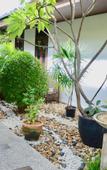 Туры в отель Al's Resort