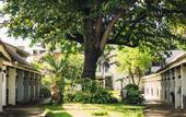 Туры в отель Al's Resort