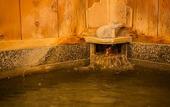 Туры в отель Ryokan Asunaro