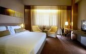 Туры в отель The Alts Hotel