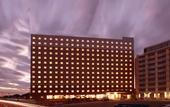 Туры в отель Toyoko Inn Narita Airport Shinkan