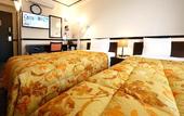 Туры в отель Toyoko Inn Narita Airport Shinkan