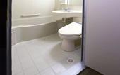 Туры в отель Toyoko Inn Narita Airport Shinkan