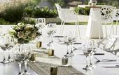 Туры в отель Wyndham Tamarindo