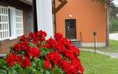 Туры в отель Wilderness Hotel Juutua