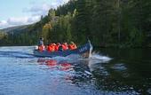 Туры в отель Wilderness Hotel Juutua