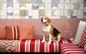 Туры в отель Kimpton Vividora Hotel by IHG