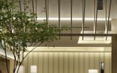 Туры в отель SORANO Hotel