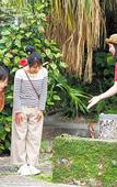 Туры в отель OMO5 Okinawa Naha by Hoshino Resorts