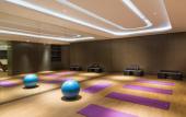 Туры в отель Pullman Nanjing Lukou Airport