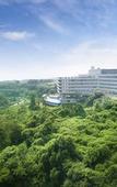 Туры в отель Hidden Cliff Hotel & Nature