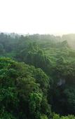 Туры в отель Hidden Cliff Hotel & Nature
