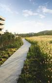 Туры в отель Hidden Cliff Hotel & Nature
