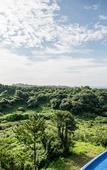 Туры в отель Hidden Cliff Hotel & Nature