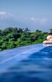 Туры в отель Hidden Cliff Hotel & Nature