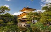 Туры в отель The Royal Park Canvas Kyoto Nijo