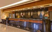 Туры в отель Hotel New Otani Makuhari