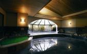 Туры в отель Hotel New Otani Makuhari