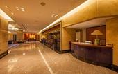 Туры в отель Hotel New Otani Makuhari