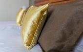 Туры в отель Hotel Palace Verona