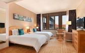 Туры в отель Hotel Hilton Milan