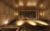 Туры в отель Royal Park Hotel Kurashiki