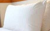 Туры в отель Hotel Hokke Club Kyoto