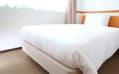 Туры в отель Hotel Hokke Club Kyoto