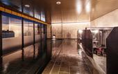 Туры в отель HOTEL MYSTAYS Fuji Onsen Resort