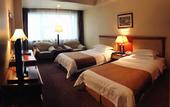 Туры в отель Grand Metropark Liyuan Hotel Chongqing