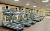 Туры в отель Hilton Munich Park