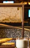Туры в отель THE LIVELY FUKUOKA HAKATA