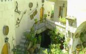 Туры в отель Kookaburra Hotel