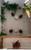 Туры в отель Tikul Hotel Boutique