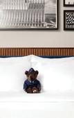 Туры в отель Hotel Polaris