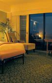 Туры в отель Hotel Nikko Alivila