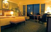 Туры в отель Hotel Nikko Alivila