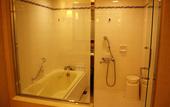 Туры в отель Hotel Nikko Alivila