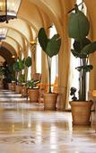 Туры в отель Hotel Nikko Alivila