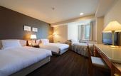 Туры в отель Air Terminal Hotel