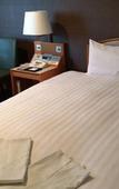 Туры в отель Air Terminal Hotel