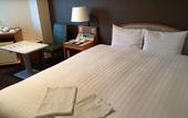 Туры в отель Air Terminal Hotel