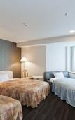 Туры в отель Air Terminal Hotel