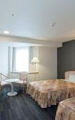 Туры в отель Air Terminal Hotel