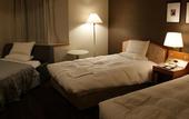 Туры в отель Air Terminal Hotel