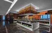 Туры в отель Hampton by Hilton Urumqi International Airport