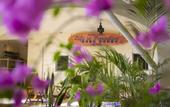Туры в отель Zulu Surf Hotel