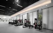 Туры в отель XANA Deluxe Hotel (Beijing Daxing International Airport Terminal)