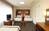 Туры в отель Hotel Hokke Club Osaka